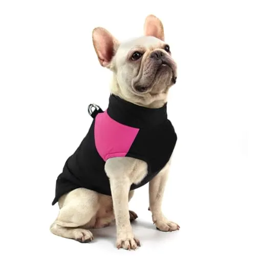 FEimaX Hundemantel für Hunde, Hundejacken Wasserdicht Warme Jacke für Kleine Mittelgroße Große Hunde Winterjacke Warm Gepolstert Welpen Weste Haustier Kleidung für Kaltes Wetter