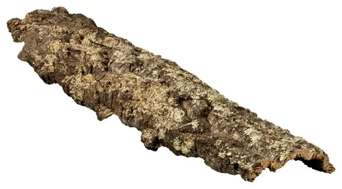 Kork Rinde XXL | 100x30 cm von Kork Deko