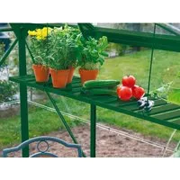 Vitavia Alu-Regal, Dunkelgrün - Zubehör für Gewächshäuser – platzsparendes und stabiles Alu-Regal für Gartengeräte und Blumentöpfe, einfach montierbar und klappbar für optimale Nutzung.