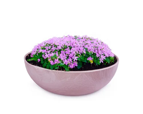 Blumentöpfe & Pflanzgefäße Pink von matches21 HOME & HOBBY