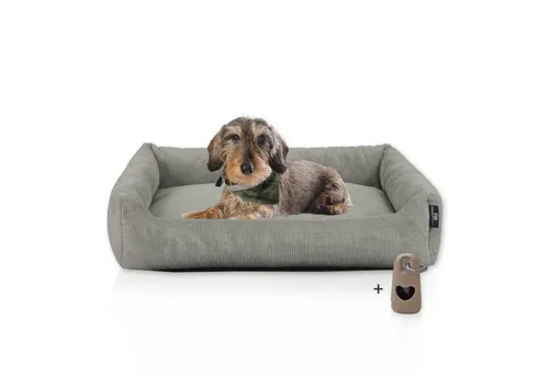 Rohrschneider Hundebett Cordstoff mit Gassibeutel - Tierbett für kleine und mittelgroße Hunde, waschbar, mit hohem Rand für optimalen Kuschelkomfort und rutschfester Unterseite. Wendekissen und abnehmbarer Bezug sorgen für praktische Pflege.