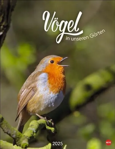 Vögel in unseren Gärten Posterkalender 2025: Viele Fotos und informative Texte zu 12 Vogelarten in einem faszinierenden Wandkalender. Dekorativer Kalender mit Mehrwert für Tierfreunde.