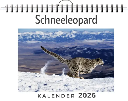 Felix Vogel | Schneeleopard | Kalender | Deutsch | 2026 | FlipFlop