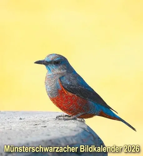 Münsterschwarzacher Bildkalender 2026 (Münsterschwarzacher Kalender)