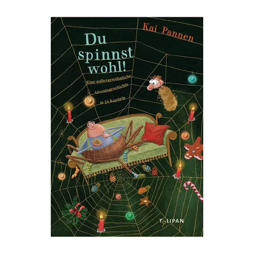 Du spinnst wohl! Adventsgeschichte für Kinder - Vorlesebuch für Kinder von 5-7 Jahren, 24 spannende Kapitel für eine besinnliche Adventszeit – ideal zum Vorlesen und Entdecken!