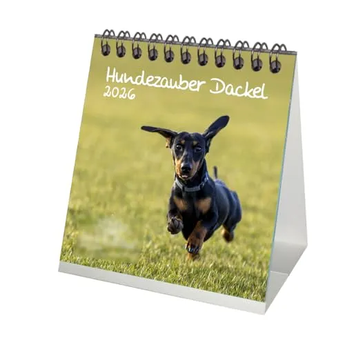 Hundezauber Dackel Tischkalender 10cm x 10cm für 2026 Welpen und Hunde - Seelenzauber