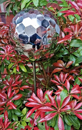 Rosenkugel Diamond 15 cm Edelstahl poliert mit Stab 80 cm - Wetterfeste Rosenkugel aus poliertem Edelstahl für Innen- und Außenbereich. Ideal für Balkon und Garten, verleiht jedem Beet einen modernen Akzent.
