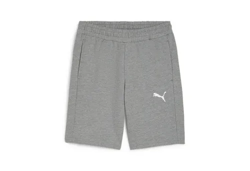 Puma teamGOAL Casuals Shorts (L) (658608_33) von PUMA
