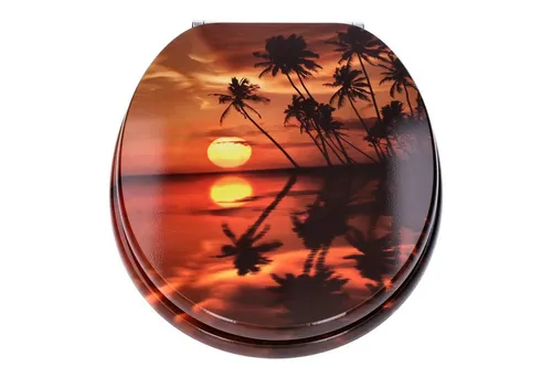 WC-Sitz mit Absenk-Automatik