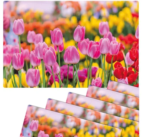 matches21 HOME & HOBBY Platzset Abwaschbare Tischsets 6er Set Sommer Tulpen Blumen pink, (6-St), Platzsets als Tisch-Untersetzer und Tisch-Deko für Esstisch Teller