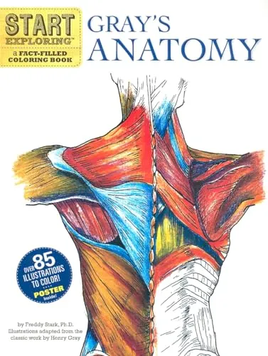 Start Exploring: Gray's Anatomy: A Fact-Filled Coloring Book