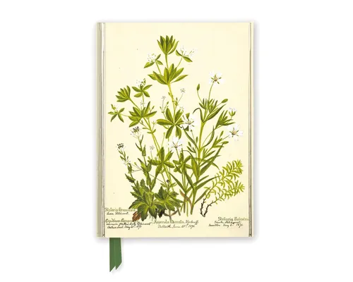 Notizbuch Rbge - Charlotte Cowan Pearson - Stellaria Nemorum Notebook (Flame