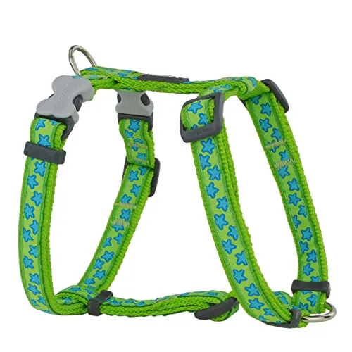 Red Dingo Hundegeschirr Style Stern grün 25-39 cm von Red Dingo