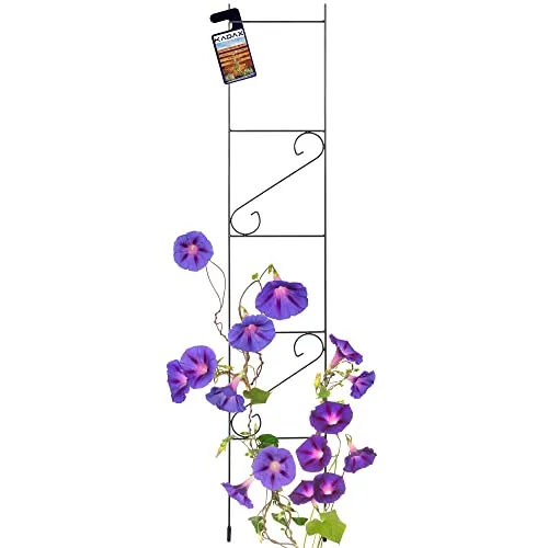 KADAX Rankgitter aus Stahl, freistehende Kletterhilfe für Garten - Wetterfestes Rankgitter (Höhe: 150 cm) schützt Pflanzen vor Witterungseinflüssen und sorgt für einen dekorativen Look im Garten. Ideal für Rosen und Kletterpflanzen.