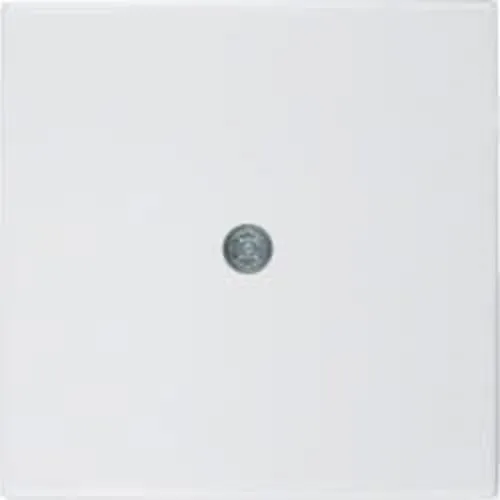 Hager Zentralplatte Schraube S1 Brillo-BP