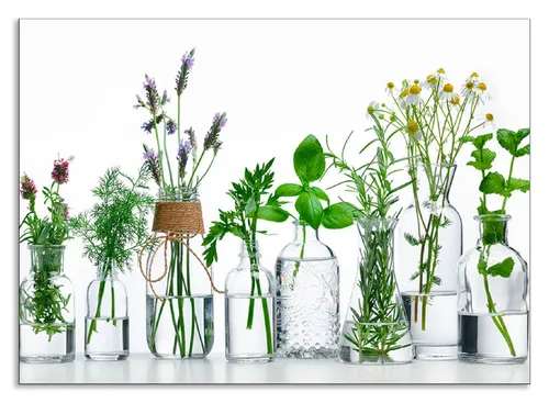 Artland Küchenrückwand Öle mit Kräutern in grün von ARTland