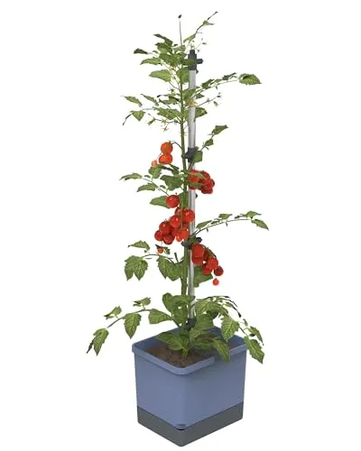 Gusta Garden Tom Tomato Topfpflanzer - Freistehender Topfpflanzer aus langlebigem Polypropylen und Aluminium, ideal für den Garten mit 20 l Volumen für gesunde Pflanzen.