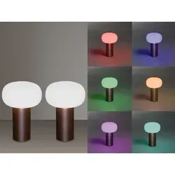 USB aufladbare Tischlampe - Kabel- und Stromfrei für den Außenbereich - Mobile RGB Tischleuchte aus Aluminium in Rostoptik, 19 cm hoch. Flexibel einsetzbar dank Akku und USB-Anschluss. Ideal für stimmungsvolle Abende im Freien mit wechselbaren Lichtfarben und IP54 Schutz.