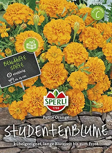 Studentenblume Petite Orange von Sperli-Samen in orange von SPERLI