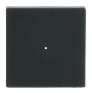 Busch-Jaeger BUSCH 6230-10-885 Wippe 1-fach