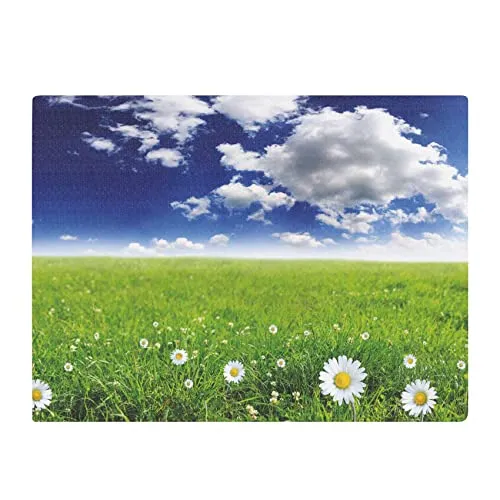 ANRO Bodenschutzmatte Bürostuhl große Unterlage Schreibtischstuhl Stuhlmatte Fussbodenschutz rutschfest Kratzfest für Parkett Hartböden Frühling 160x120cm