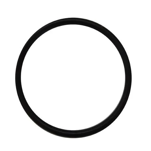 Heissner Dichtung für UVC-Einheit (ET10-HLF4H)