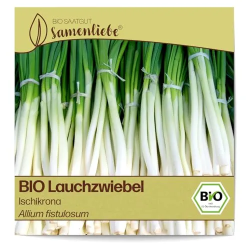 Samenliebe BIO Lauchzwiebel Samen Ischikrona mildwürzige Frühlingszwiebel Zwiebel grün weiß 300 Samen samenfestes Gemüse Saatgut für Gewächshaus Freiland und Balkon BIO Gemüsesamen winterhart