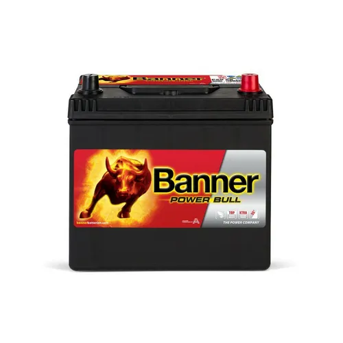 Banner Power Bull P6068 von Banner