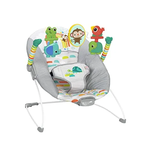 Bright Starts Playful Paradise Babywippe