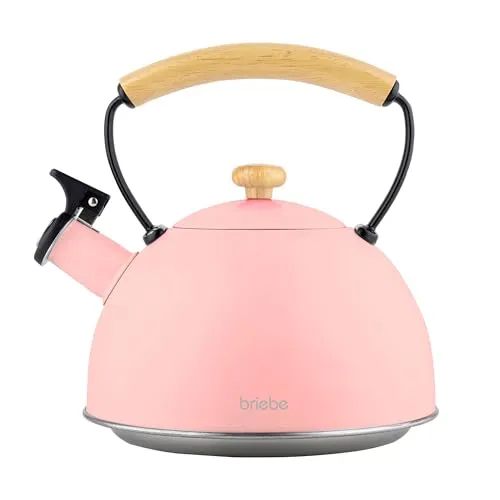 briebe Retro Wasserkessel Induktion 2,3L