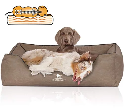 Knuffelwuff Tierbett Rockland - Orthopädisches Hundebett - Tierbett für Hunde mit orthopädischer Memory Foam Matratze, bietet optimalen Schlafkomfort, Druckentlastung und schützt vor kalter Zugluft.