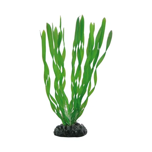 Vallisneria 20cm-Künstliche Aquariumpflanzen Wasserpflanzen Wasserschildkröten