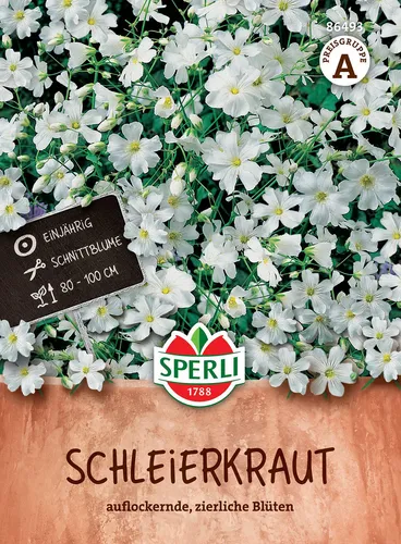 Mein schöner Garten DE SPERLI Schleierkraut EH001456-001