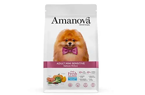 Amanova Super Premium Hundefutter - 100% natürlich, getreidefrei, frischer Lachs - 2 kg - Hundefutter für Erwachsene mit frischem Lachs, hypoallergen, ohne künstliche Zusätze und tierversuchsfrei – für ein glänzendes Fell und idealer Gewicht.