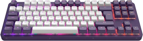 Dark Project ALU87A Violet – Mechanische Gaming-Tastatur mit G3MS Saphirschaltern - Games: ISO-mehrsprachige Tastatur mit Aluminium-Gehäuse und Flex Gasket Mount für ein optimales Tipperlebnis und außergewöhnliche Haltbarkeit.