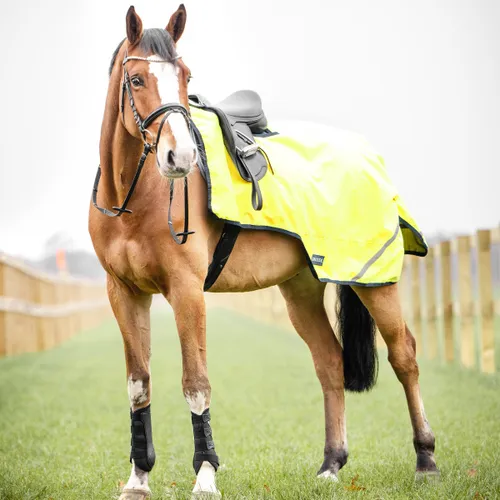 Busse Ausreitdecke SHINE 100g, 145 - Sonstiger Pferdebedarf - wind- und wasserdichte Ausreitdecke mit 100g Füllung, ideal für kalte Outdoortrainings und sorgt für Sicherheit mit Reflektorstreifen.