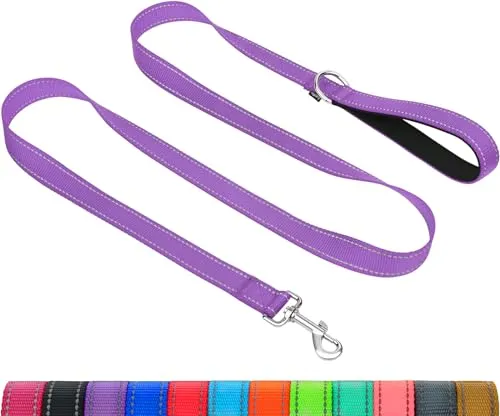 Taglory Hundeleine mit gepolsterter Handschlaufe, Reflektierende Führleine für kleine, mittlere und große Hunde sowie Welpen, Aus reißfestem Nylon für tägliche Spaziergänge, Lila