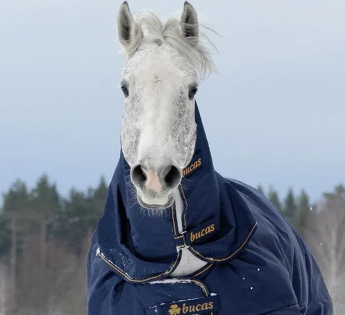 Bucas Abreitdecken & Weidedecken von Bucas