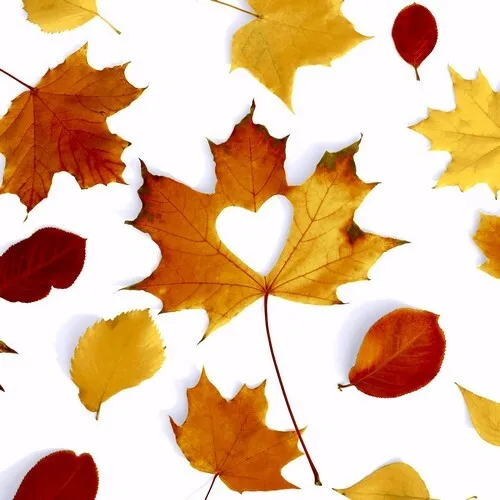 Servietten Autumn Love Herz Liebe Herbst Blätter Laub orange braun 33x33cm 20