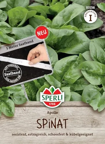 Sperli Spinatsamen Apollo F1, Saatband 83156 von SPERLI