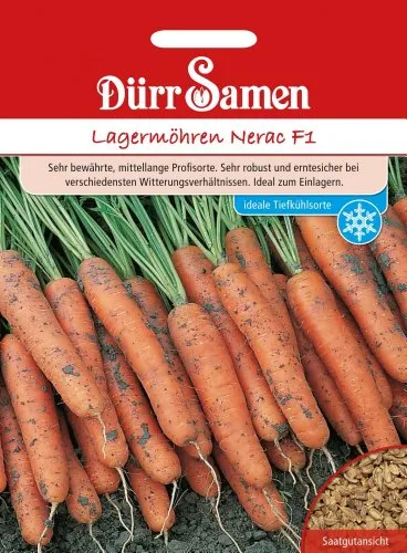 Lagermöhren Nerac F1