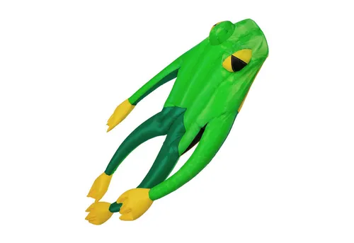 Wolkenstürmer® Fritz The Frog - Grüner Froschdrachen für Einsteiger - Robuster Einleiner Drachen aus hochwertigem Polyester, ideal für Einsteiger und direkt einsatzbereit - perfekt für Kinder und Erwachsene.