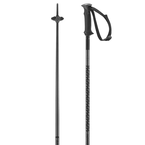 Salomon Unisex-Adult Polar Alpine Poles, Black, 105