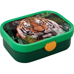 Mepal - Brotdose Campus - Bento Box Kinder - Brotdose mit Fächern & Gabel - Meal Prep Box mit Clip-Verschluss - BPA-frei & Spülmaschinenfest - 75... - Naturbelassen