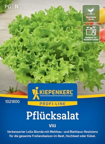 Kiepenkerl Profi-Line Pflücksalatsamen Vili 1021800 - Anbausicherer Lollo-Bionda Salat mit nussigem Geschmack, schossfest und resistent gegen Krankheiten
