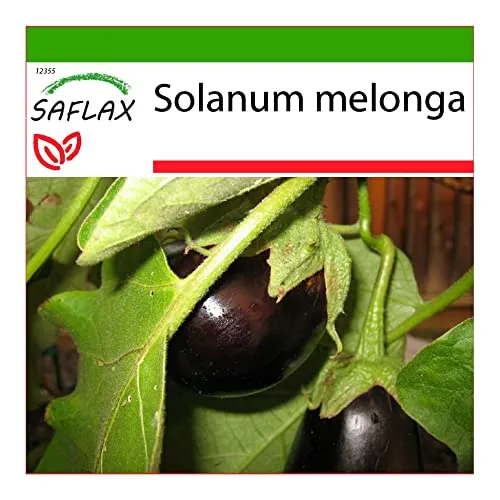 SAFLAX - Gemüse-Aubergine - Eierbaum - 20 Samen - Mit keimfreiem Anzuchtsubstrat - Solanum melonga