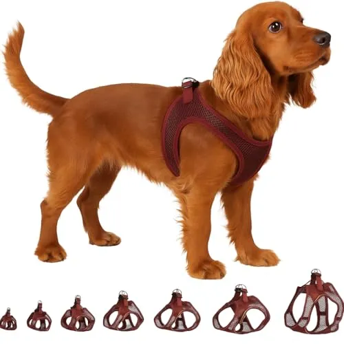 Hundegeschirr - hundegeschirr mittelgroße Hunde - M - Flamingo Harness Step&Go Bento Aubergine