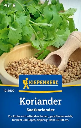Produktbild Kiepenkerl Koriandersamen Saatkoriander 1012600 – Aromatische Gewürzsamen für kreative asiatische Küche, Kräutersamen für Garten & Töpfe, Kräutersamen für 70 Pflanzen