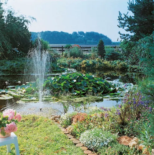 Ubbink Teichpumpe ProLine 1000 ECO - Wasserpumpen für Gartenteiche, energiesparend und vielseitig einsetzbar mit einer Förderhöhe von bis zu 1,20 m.