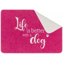 Fussenegger Haustierdecke 'Life is Better' für Hunde, klein